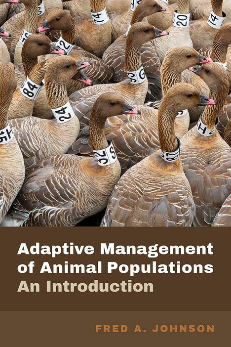 "Adaptive Management of Animal Populations: An Introduction" von Fred A. Johnson. Viele Gänse mit markierten Hälsen.