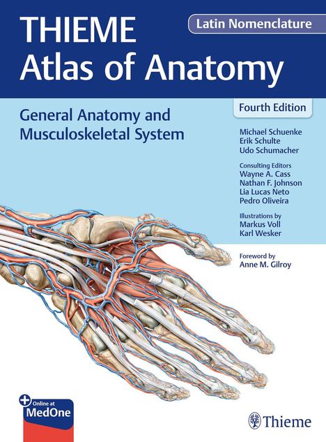 "THIEME Atlas of Anatomy, General Anatomy and Musculoskeletal System. Illustration von Nerven und Muskeln der Hand."