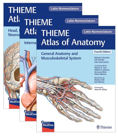 Drei Bücher mit blauen Covern, Titel "THIEME Atlas of Anatomy", zeigen anatomische Illustrationen von Gefäßen und Muskulatur.