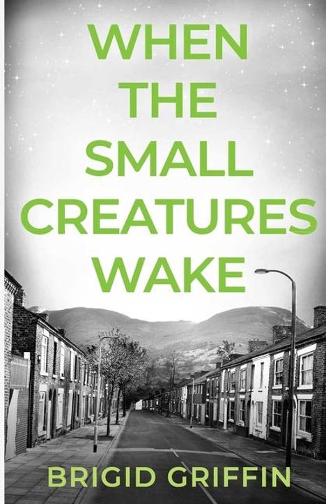 Brigid Griffin: When the Small Creatures Wake, Buch