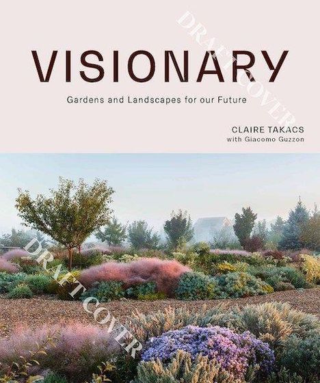 Claire Takacs: Visionary, Buch