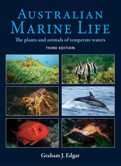 "Australian Marine Life", Pflanzen und Tiere gemäßigter Gewässer, dritte Auflage. Fotos von Meereslebewesen.