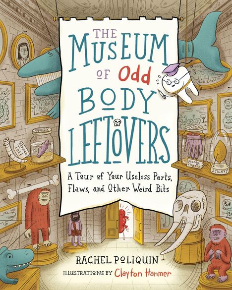 Rachel Poliquin: The Museum of Odd Body Leftovers, Buch