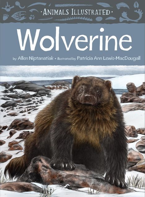 Allen Niptanatiak: Animals Illustrated: Wolverine, Buch