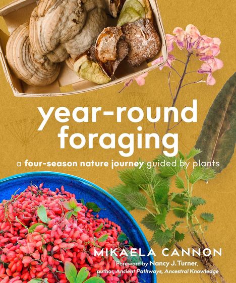 „year-round foraging“, „a four-season nature journey guided by plants“. Foto von Pilzen und Beeren sowie Pflanzenillustrationen.