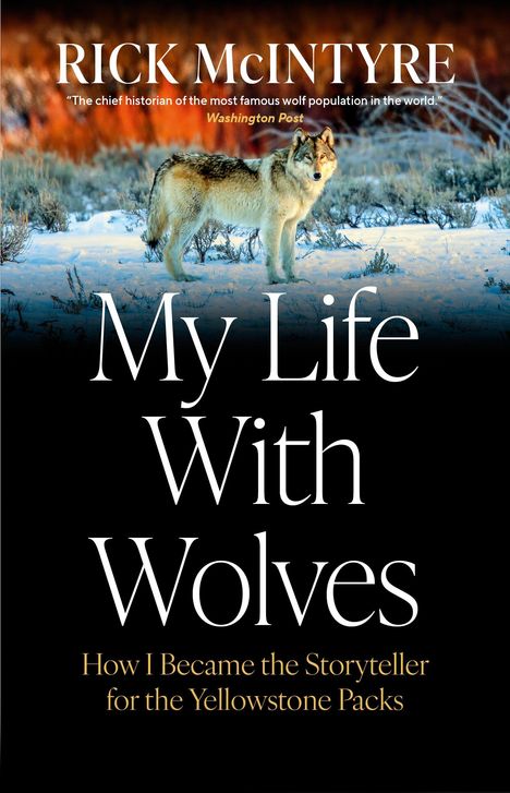 „My Life With Wolves“ von Rick McIntyre. Ein Wolf steht im Schnee vor einem warmen, bewaldeten Hintergrund.