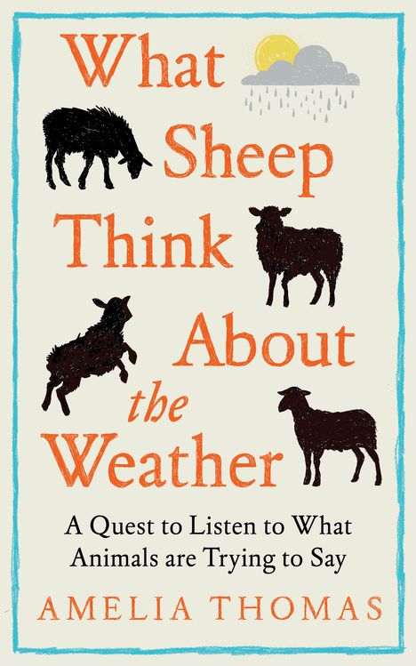 Amelia Thomas: What Sheep Think About the Weather, Buch