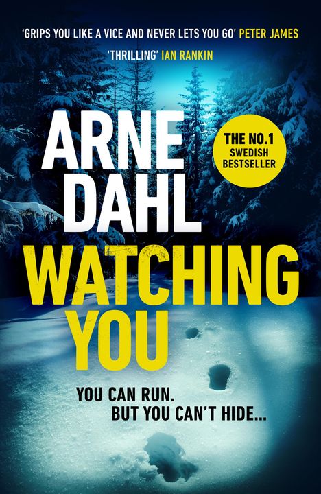 Arne Dahl: Watching You, Buch