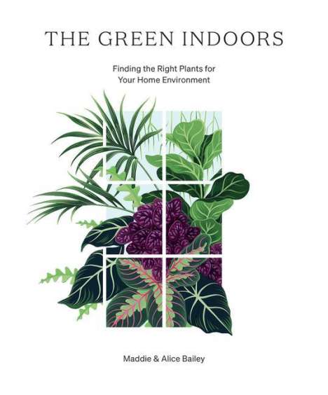 Alice Bailey: The Green Indoors, Buch