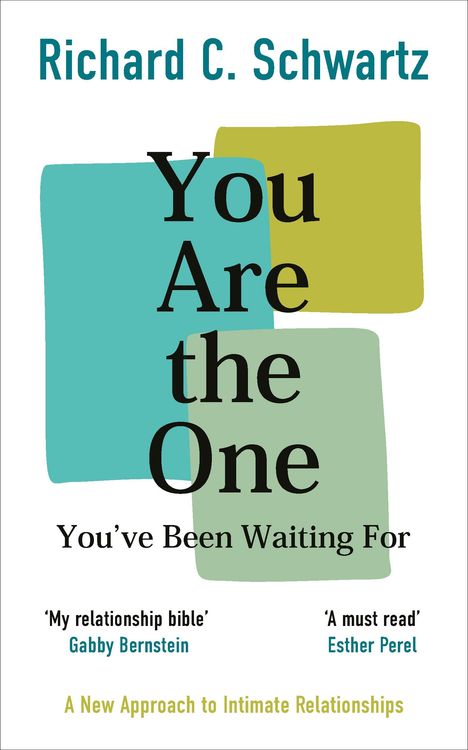 Richard Schwartz: You Are the One You've Been Waiting For, Buch