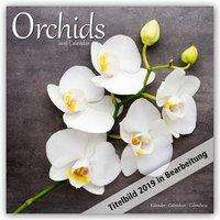 Orchids - Orchideen 2019, Buch