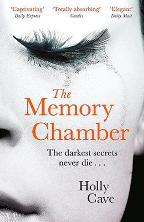 Holly Cave: The Memory Chamber, Buch