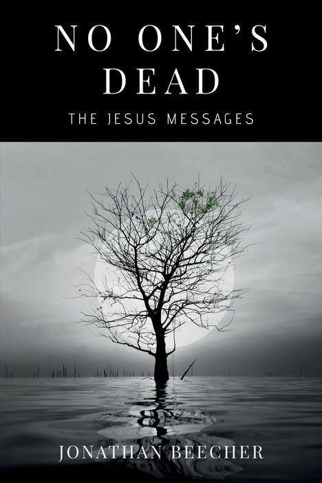 Jonathan Beecher: No One's Dead, Buch