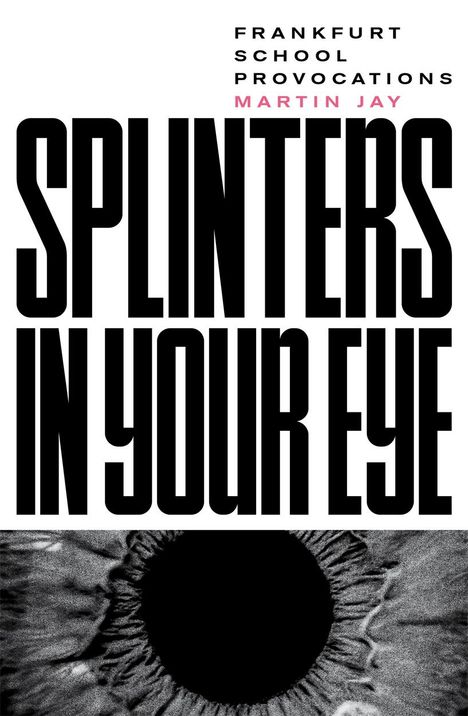 Martin Jay: Splinters in Your Eye, Buch