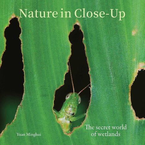 "Nature in Close-Up" und "The secret world of wetlands". Ein grünes Insekt schaut durch ein Loch in einem Blatt.