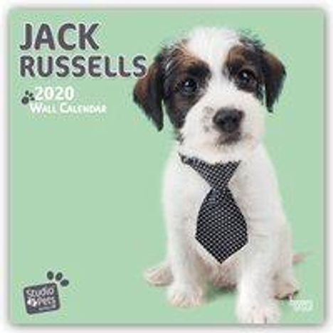 Myrna Huijing: Jumping Jack Russels - Jack Russel Terrier 2020 - 18-Monatskalender, Diverse