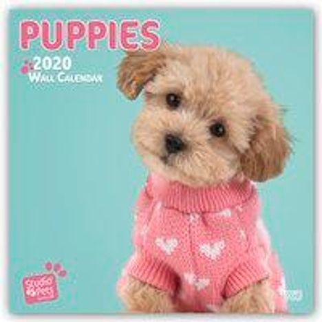 Myrna Huijing: Puppy Love - Hundewelpen 2020 - 18-Monatskalender, Diverse