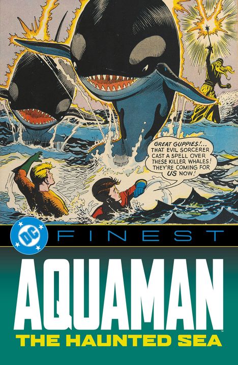 Text: "FINESST", "AQUAMAN", "THE HAUNTED SEA". Illustration: Zwei Orcas im Ozean, Magier mit Zauberstab, zwei schwimmende Figuren.