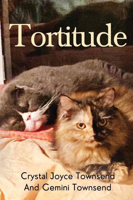 Crystal Joyce Townsend: Tortitude, Buch