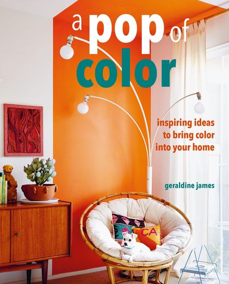 Geraldine James: James, G: Pop of Color, Buch