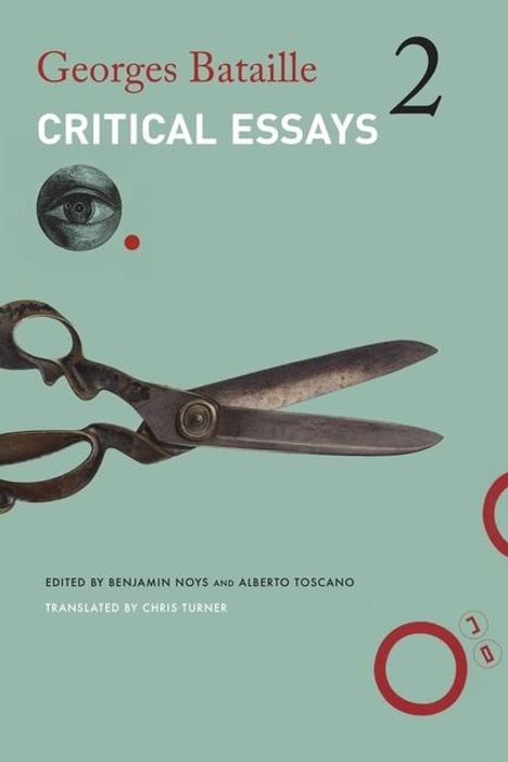 Georges Bataille: Critical Essays, Buch