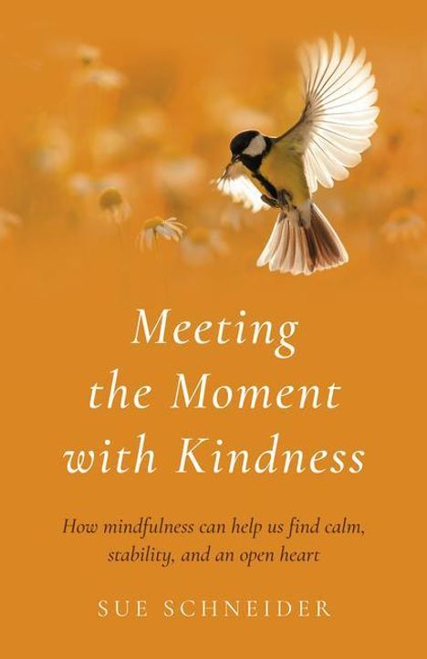 Sue Schneider: Meeting the Moment with Kindness - How mindfulness can help us find calm, stability, and an open heart, Buch