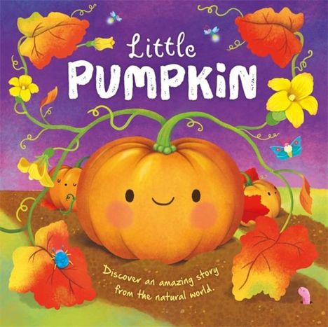 Autumn Publishing: Little Pumpkin, Buch
