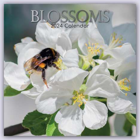 The Gifted: Blossoms - Blüten 2024 - 16-Monatskalender, Kalender