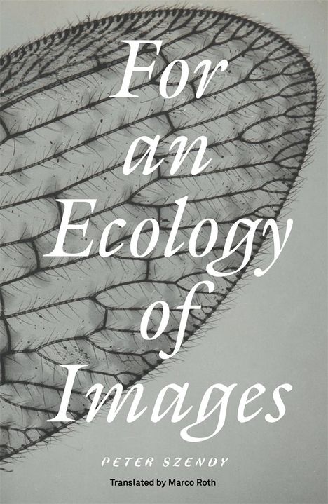 Peter Szendy: For an Ecology of Images, Buch