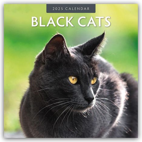 Black Cats - Schwarze Katzen 2025 - 16-Monatskalender, Kalender