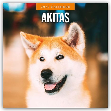 Akitas - Akita 2025 - 16-Monatskalender, Kalender