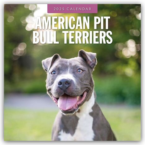 American Pit Bull Terriers - American Pit Bull Terrier 2025 - 16-Monatskalender, Kalender