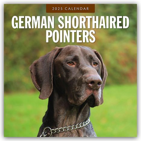 German Shorthaired Pointers - Deutscher Kurzhaar - Deutscher Kurzhaariger Vorstehhund 2025 - 16-Monatskalender, Kalender