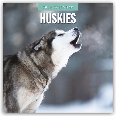 Huskies - Husky - Huskys 2025 - 16-Monatskalender, Kalender