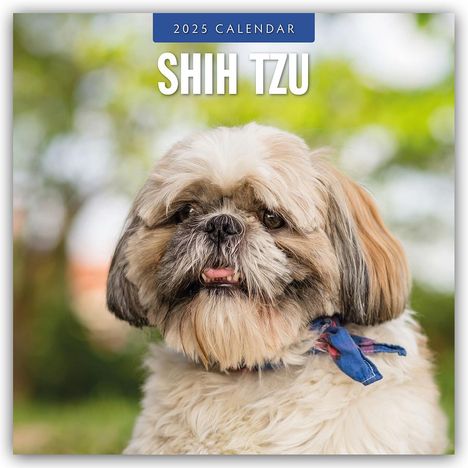 Shih Tzu 2025 - 16-Monatskalender, Kalender