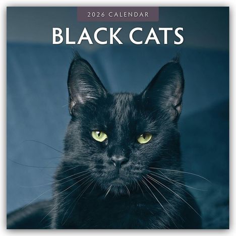 Robin Red: Black Cats - Schwarze Katzen 2026 - 16-Monatskalender, Kalender