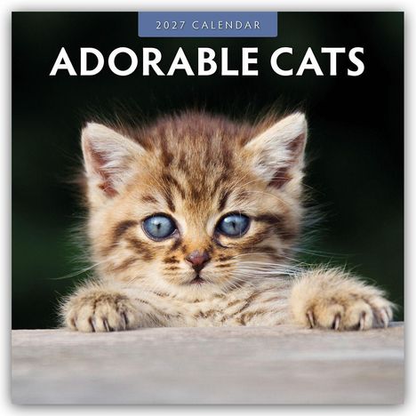 "2027 Calendar" und "Adorable Cats". Ein Kätzchen mit großem, flauschigem Fell und blauen Augen schaut neugierig nach vorne.
