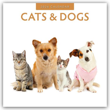 Robin Red: Cats & Dogs - Katzen & Hunde 2026 - 16-Monatskalender, Kalender