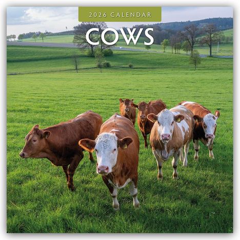 Robin Red: Cows - Kühe 2026 - 16-Monatskalender, Kalender