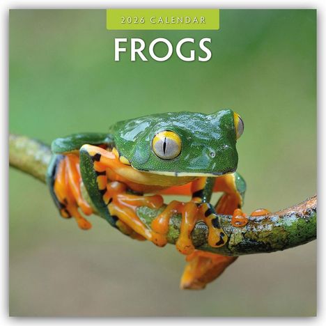 Robin Red: Frogs - Frosch - Frösche 2026 - 16-Monatskalender, Kalender