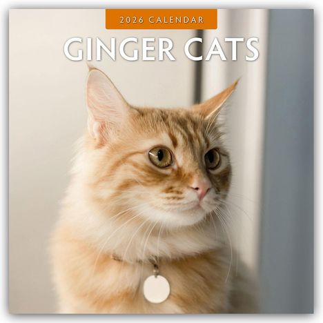 Robin Red: Ginger Cats - Rote Katzen - Gingerkatzen 2026 - 16-Monatskalender, Kalender