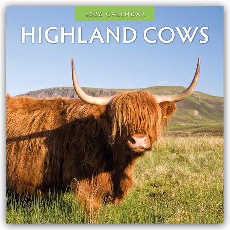 Robin Red: Highland Cows - Hochland Kühe 2026 - 16-Monatskalender, Kalender