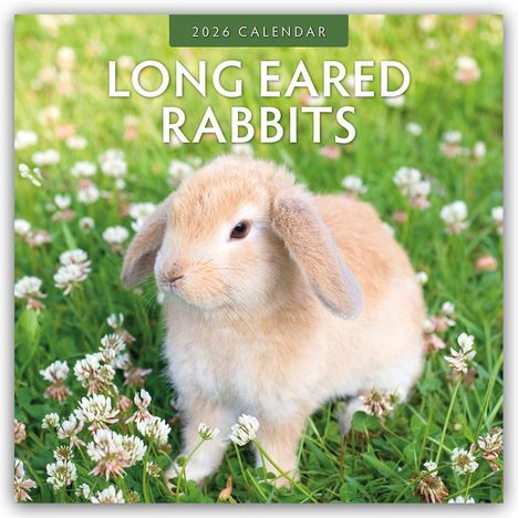 Robin Red: Long Eared Rabbits - Langohrhasen 2026 - 16-Monatskalender, Kalender