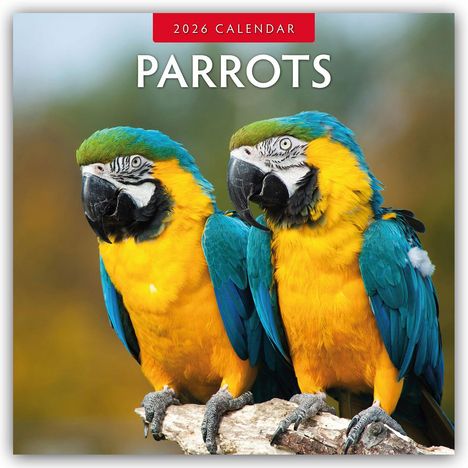 Robin Red: Parrots - Papageien 2026 - 16-Monatskalender, Kalender