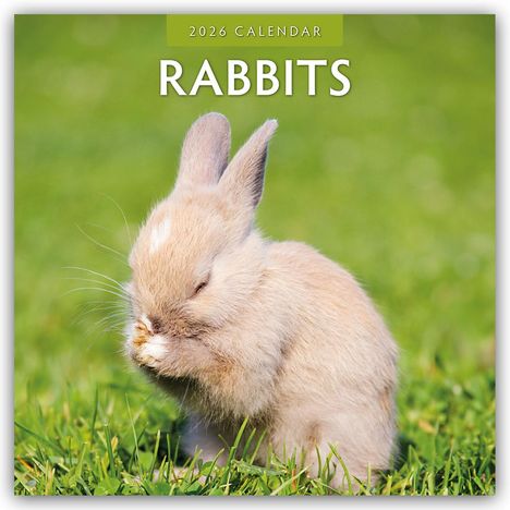 Robin Red: Rabbits - Hasen - Kaninchen 2026 - 16-Monatskalender, Kalender