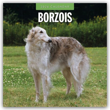 Robin Red: Borzois - Barsoi - Barzaia - Russischer Wolfshund 2026 - 16-Monatskalender, Kalender