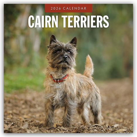 Robin Red: Cairn Terriers - Cairn Terrier 2026 - 16-Monatskalender, Kalender