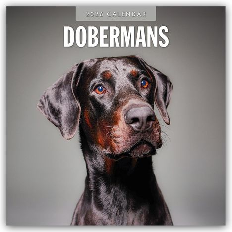 Robin Red: Dobermans - Dobermann 2026 - 16-Monatskalender, Kalender