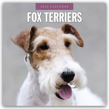 Robin Red: Fox Terriers - Foxterrier 2026 - 16-Monatskalender, Kalender