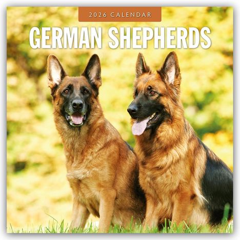 Robin Red: German Shepherds - Deutscher Schäferhund 2026 - 16-Monatskalender, Kalender